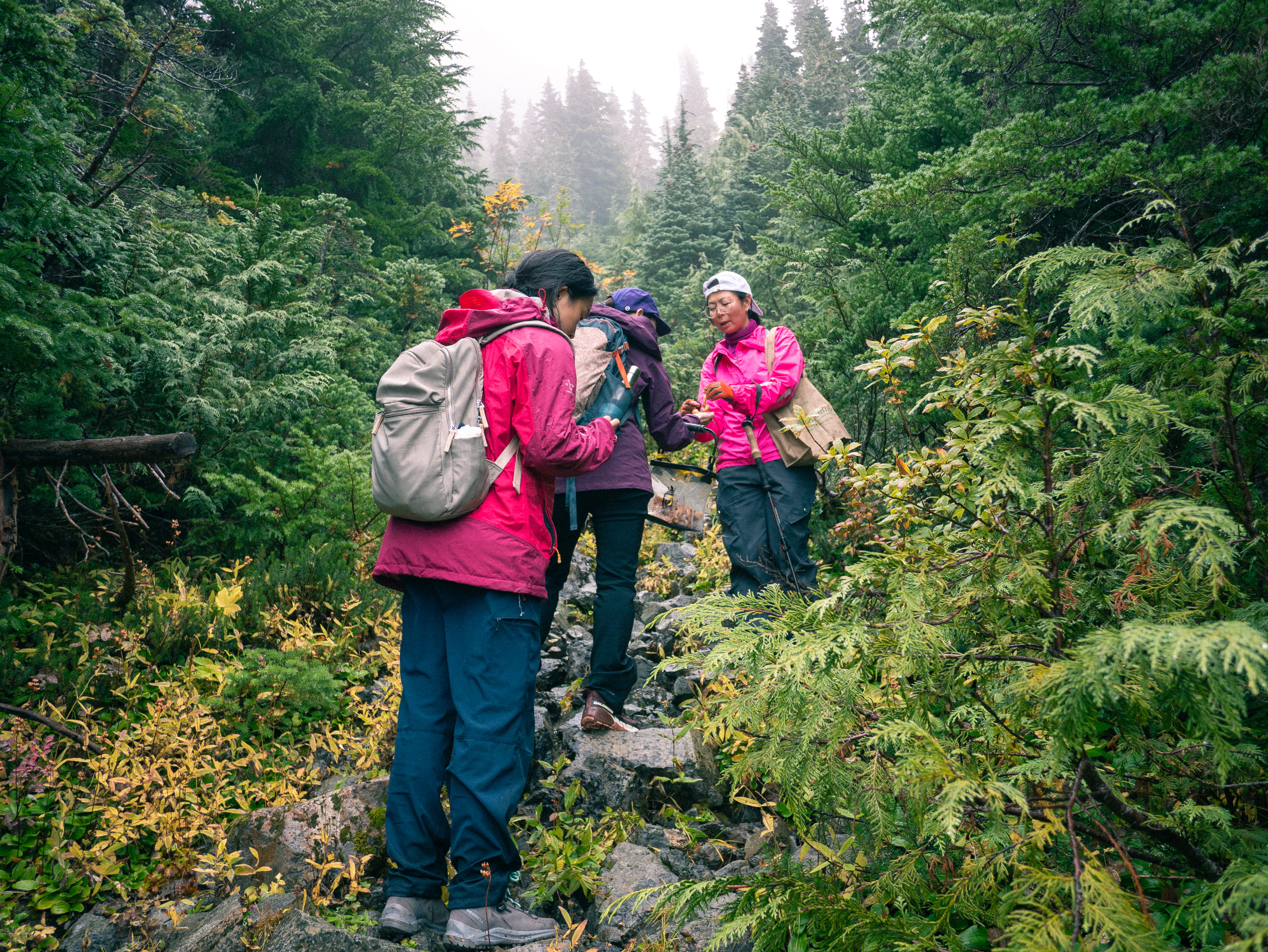 山野徒步中的讲解环节